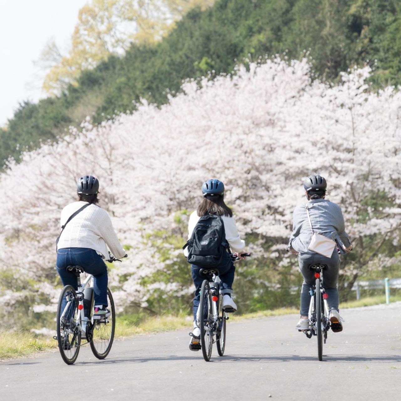 Hotel Kona Bicycle 3*