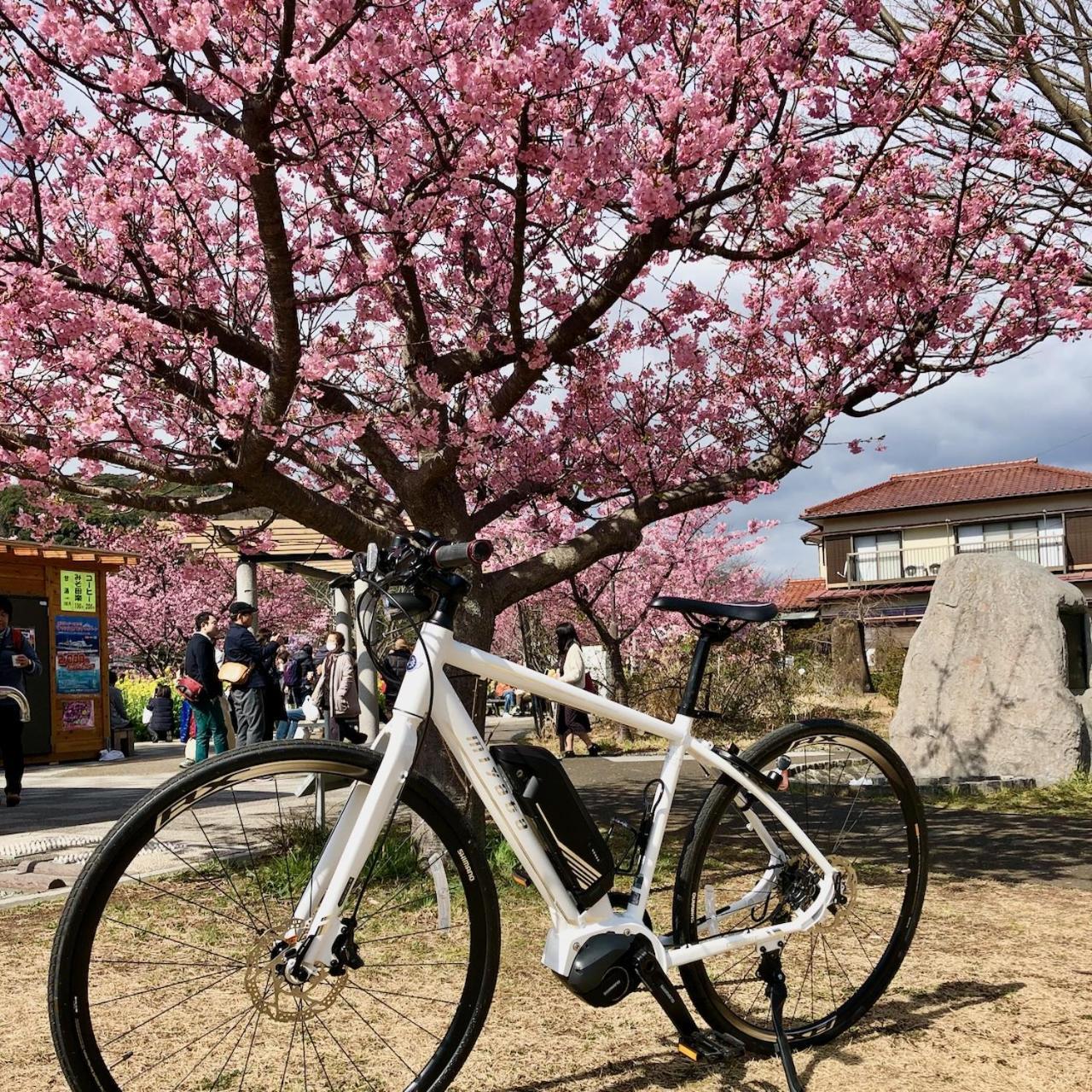 Kona Bicycle